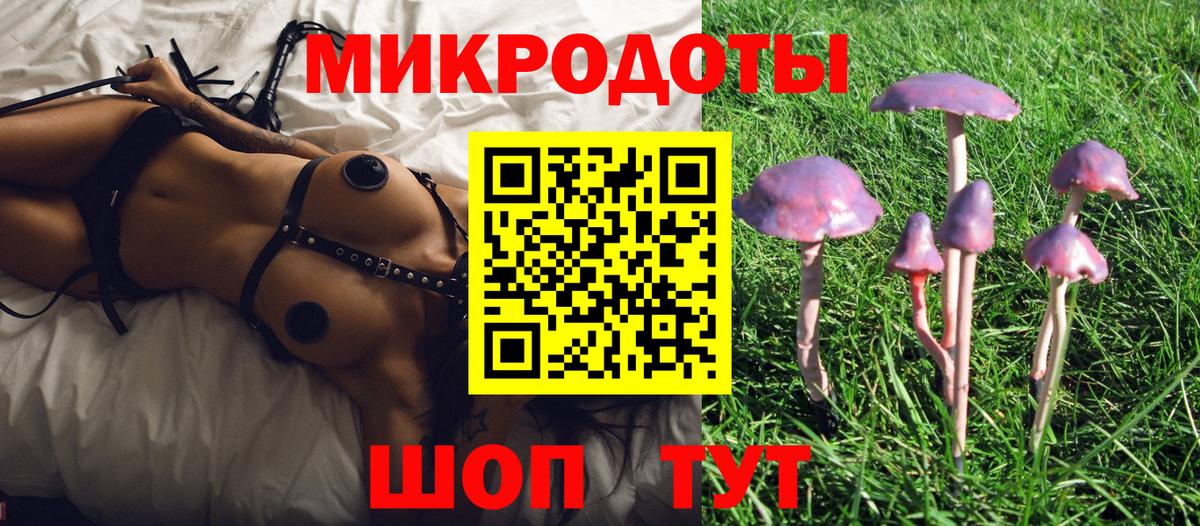 Галлюциногенные грибы GOLDEN TEACHER Кингисепп
